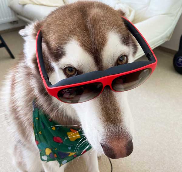 Immersive Design in Real Life